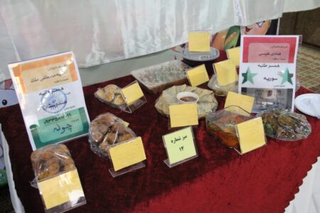 برگزاری جشنواره غذای ملل در نمایندگی المصطفی در خراسان