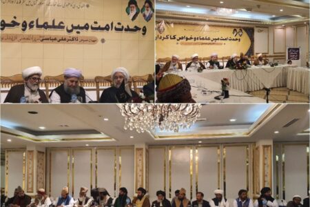 تشریح نقش علما و نخبگان برای وحدت اسلامی در کنفرانس پاکستان