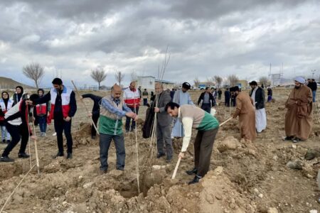 غرس نهال با حضور اساتید و کارکنان نمایندگی جامعةالمصطفی در آشتیان