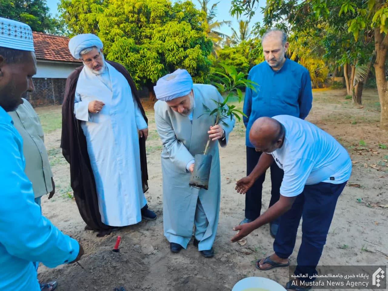 آیت الله دکتر عباسی در سفر خود به سریلانکا، یک اصله نهال درخت نارگیل را در محل نمایندگی جامعةالمصطفی کاشت.