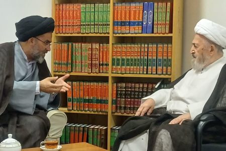 دیدار نماینده هندوستان با آیت الله العظمی سبحانی