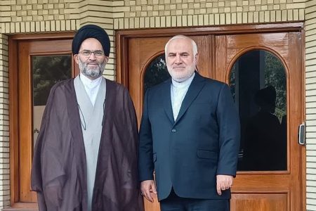 دیدار نماینده المصطفی با سفیر جدید ایران در هند