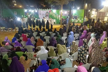 جشن ولادت امام علی(ع) در نیجر